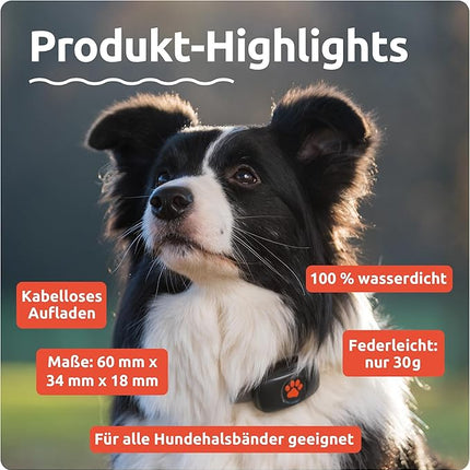 PitPat Dog GPS Tracker -Twin Pack Black and Red - Track 2 Dogs - No Subscription Required - Suitable for All Dogs and Fits All Collars - Smart Activity Tracker, Satellite Tracking with Unlimited Range