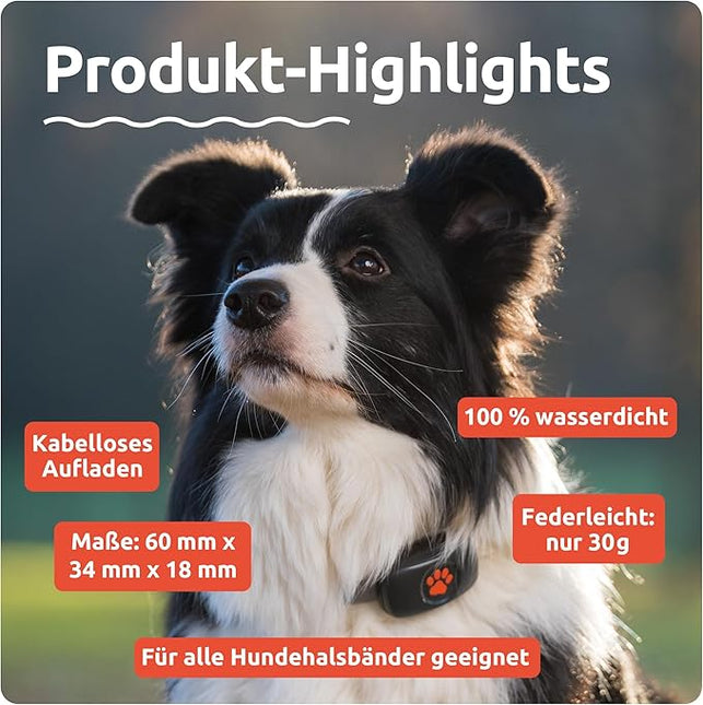 PitPat Dog GPS Tracker -Twin Pack Black and Red - Track 2 Dogs - No Subscription Required - Suitable for All Dogs and Fits All Collars - Smart Activity Tracker, Satellite Tracking with Unlimited Range