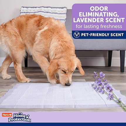 Hartz Odor Eliminating Dog Pee Pads, 50 Count, Lavender Scented, 21" x 21" (3270014838)