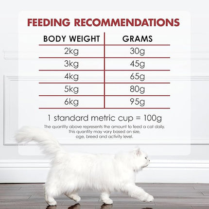 FANCY FEAST Adult Dry Cat Food Beef, Salmon and Cheese 1.4kg