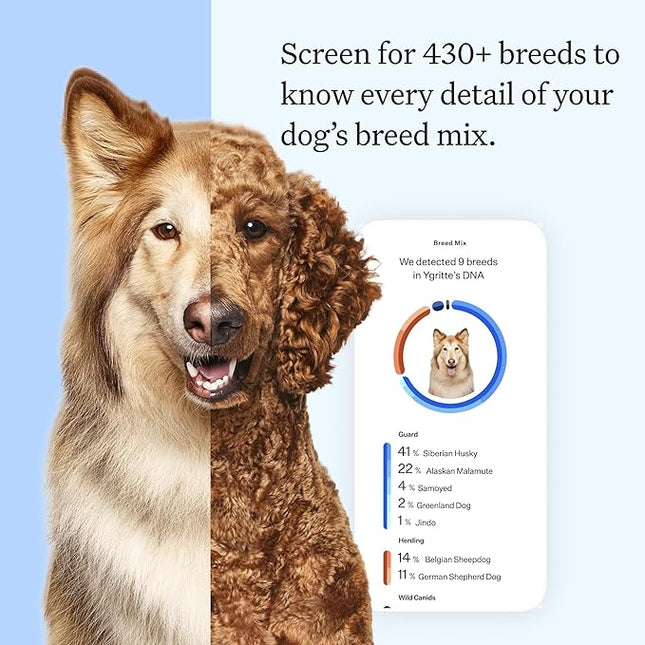 Wisdom Panel Essential Dog DNA Testing Kit - Most Accurate Test for 430+ Dog Breeds, 30 Genetic Health Conditions, 50+ Traits, Relatives, Ancestry, 1 Pack