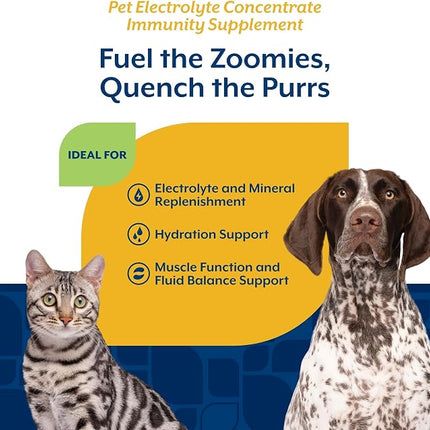 NaturVet Pet Electrolyte Concentrate for Dogs and Cats - 16 oz