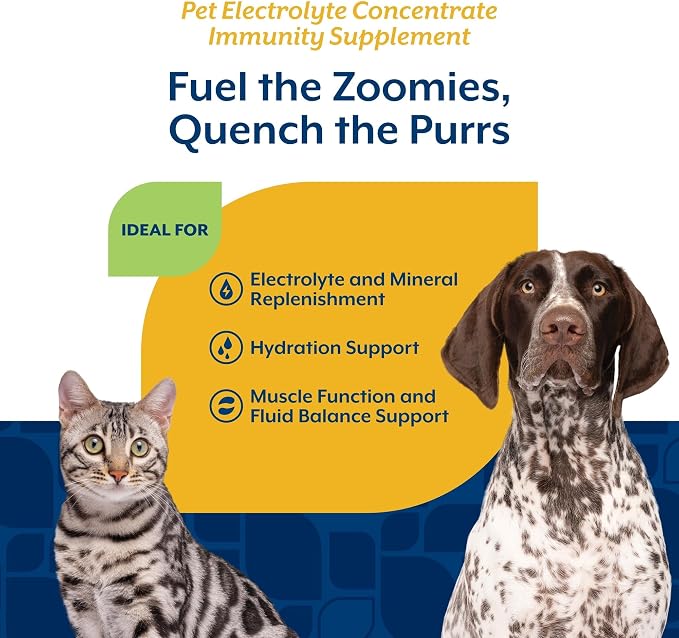 NaturVet Pet Electrolyte Concentrate for Dogs and Cats - 16 oz