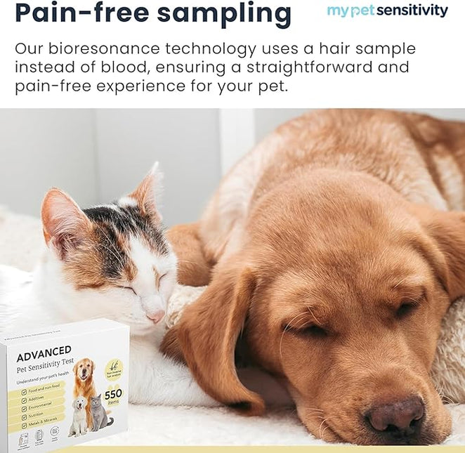Advanced Allergen Test - At-Home Pet Allergy Test | 550 Items | Quick Results | Non-Invasive Hair Collection | Food, Environment, Nutrient & Mineral Analysis | All Breeds & Ages