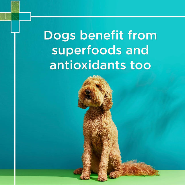 PAW by Blackmores Wellness and Vitality Multivitamins for Dogs |Maintains General Wellness & Vitality | 60 Chews