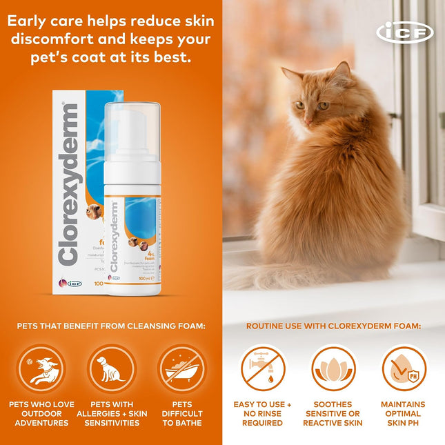 CLX 4% Chlorhexidine Dog & Cat Foam, No-Rinse Cleansing Mousse, 100 ml