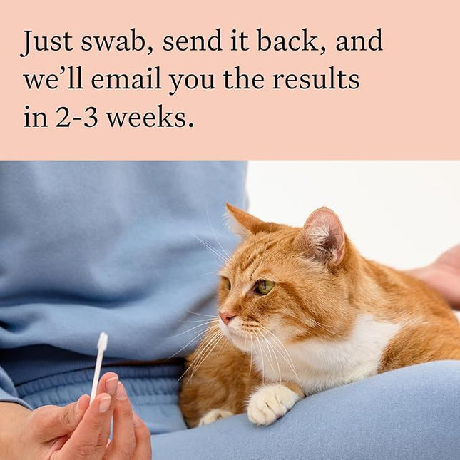 Wisdom Panel Complete: Comprehensive Cat DNA Test kit for 45 Health Genetic Health Conditions, 70+ Breeds and populations, 25+ Traits, Blood Type - Pack of 1
