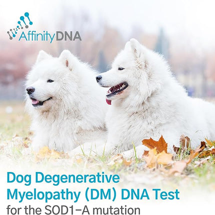 Dog Degenerative Myelopathy (DM) DNA Test | Home Sample Collection Kit for 1 Canine | Puppy DM Testing | Results in 7 Working Days | A Complete Kit with No Extra Fees