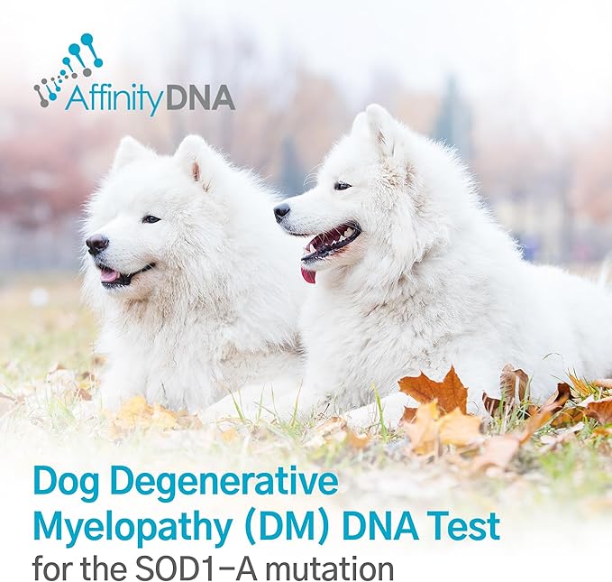 Dog Degenerative Myelopathy (DM) DNA Test | Home Sample Collection Kit for 1 Canine | Puppy DM Testing | Results in 7 Working Days | A Complete Kit with No Extra Fees