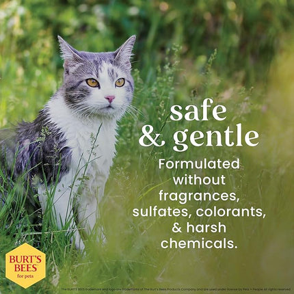 Burt's Bees Hypoallergenic Shampoo for Cats 296 ml