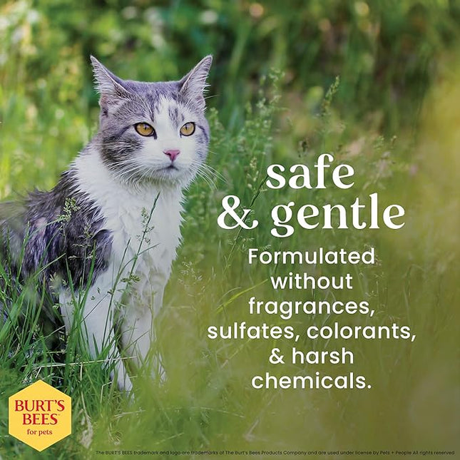 Burt's Bees Hypoallergenic Shampoo for Cats 296 ml