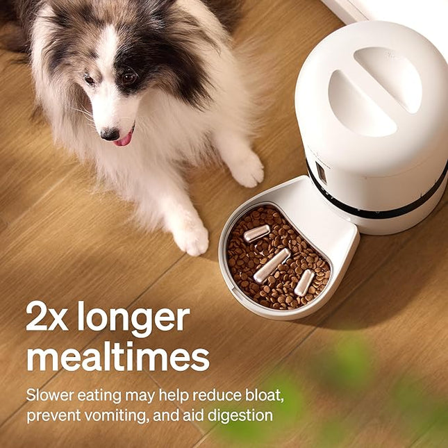 PETLIBRO Dog Cat Slow Feeder - 304 Stainless Steel Replacement Bowl - Made for Granary Smart Camera Feeder Single Bowl Version
