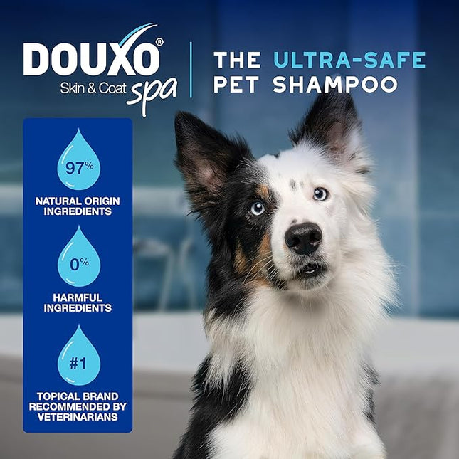 DOUXO® Skin & Coat SPA - Ultra-Safe Quick Refresh Leave-on Mousse for Dogs, 10 fl oz, Safely Cleans and Refreshes