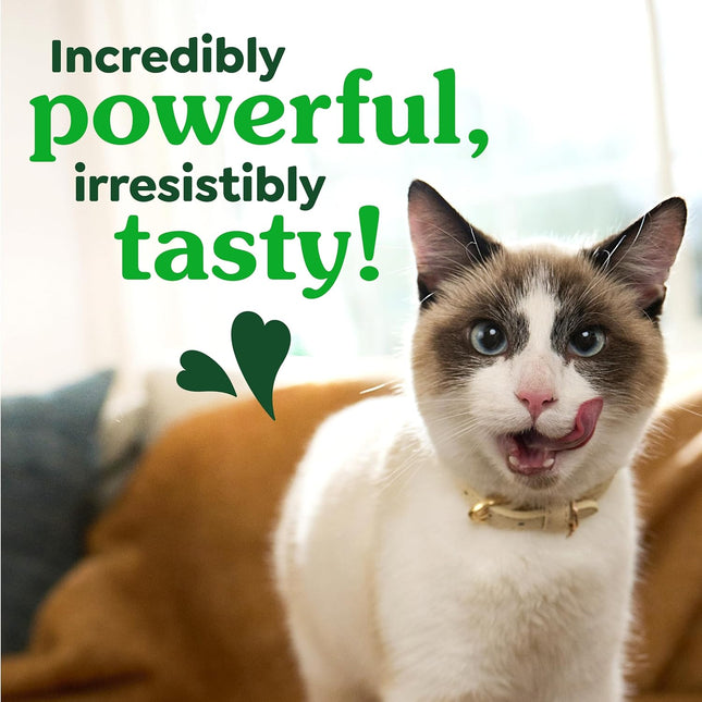 GREENIES Feline Dental Cat Treats Oven-Roasted Chicken Flavour 60g