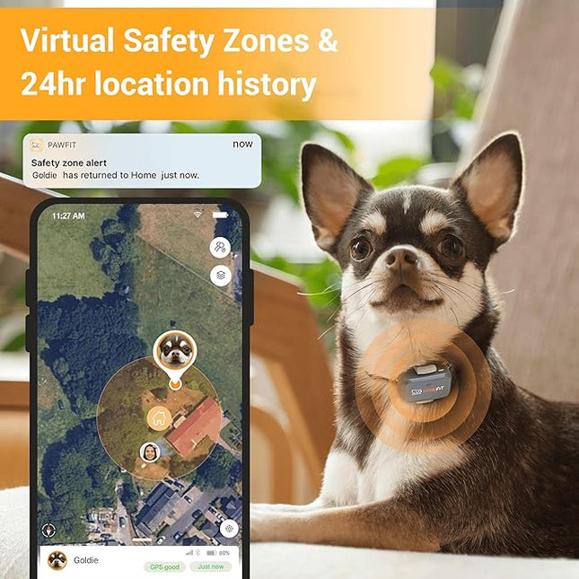 Pawfit Lite for Small Dogs 4g GPS Tracker | Real Time Tracking | Activity Monitoring |Location History