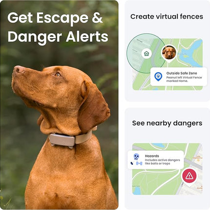 Tractive GPS Dog Tracker | 2025 Edition | Market Leader | Real-time Location Tracking (Brown)