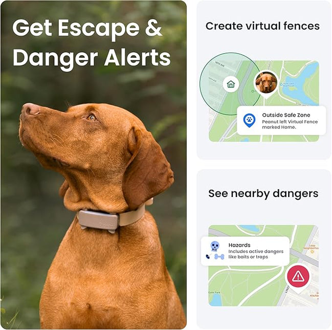 Tractive GPS Dog Tracker | 2025 Edition | Market Leader | Real-time Location Tracking (Brown)
