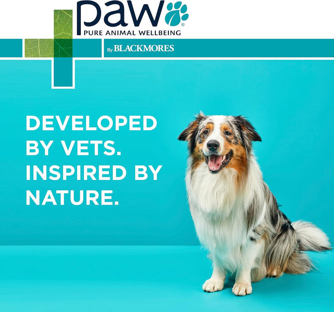 PAW by Blackmores Wellness and Vitality Multivitamins for Dogs |Maintains General Wellness & Vitality | 60 Chews