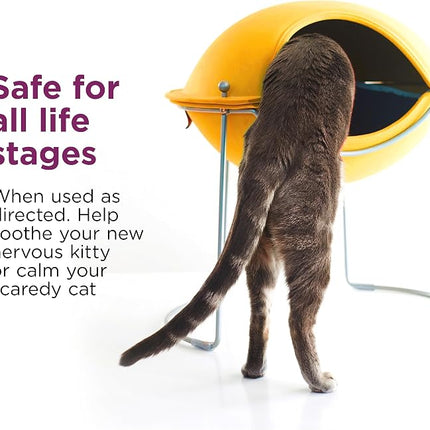 Comfort Zone Cat Calming Spray for kittens & cats, 118 mL, Value Size