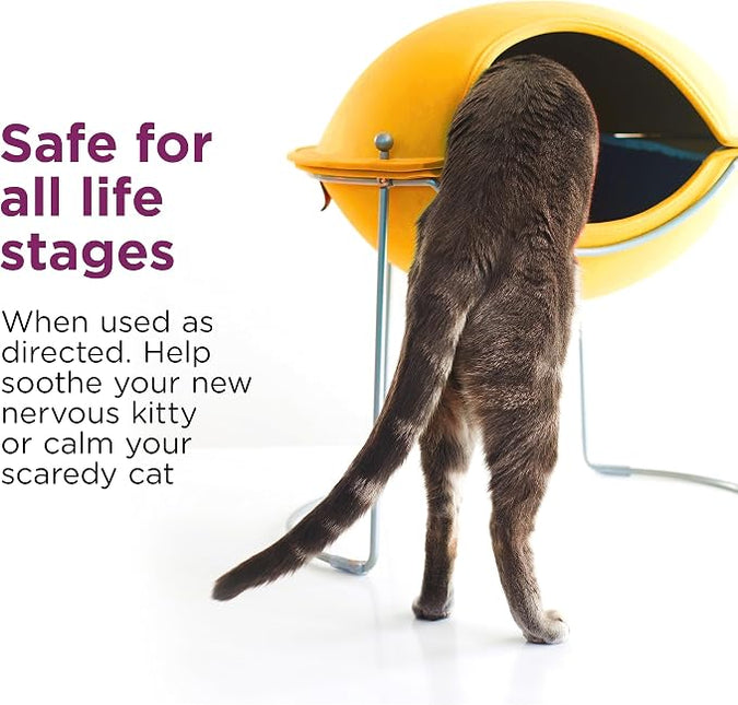 Comfort Zone Cat Calming Spray for kittens & cats, 118 mL, Value Size