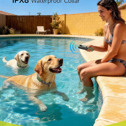 Dog Shock Collar - 4500FT Dog Training Collar with Remote, IPX8 Waterproof