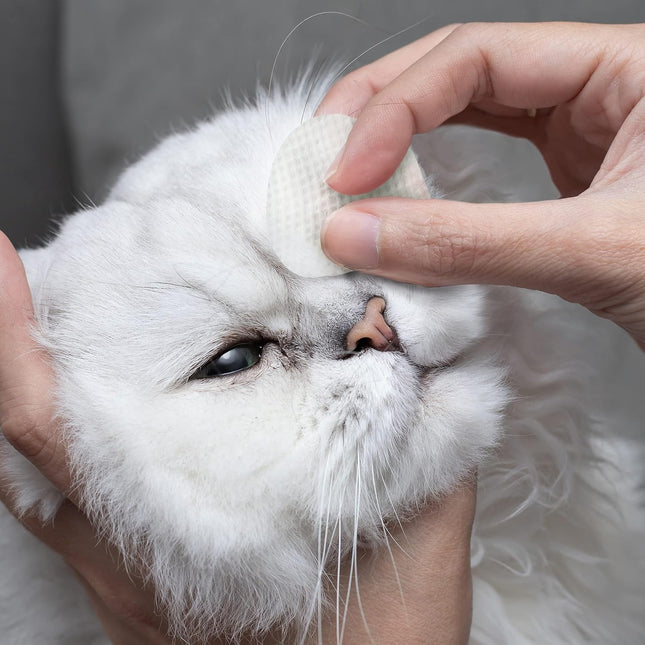 Eye Envy Tear Stain Wipes for Cats. Textured to Gently Clean Tear Stains.USA Made. 60 Cat Eye Wipes