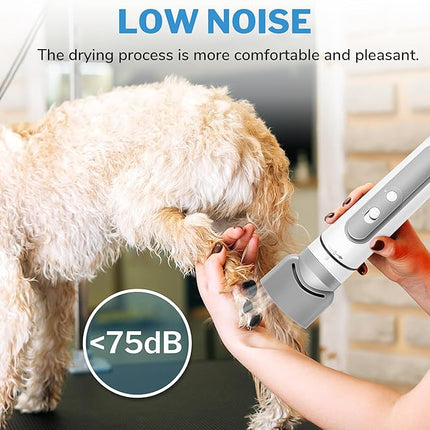 Lightweight Portable Dog Hair Dryer for Small Medium Large Dogs with 3 Nozzle