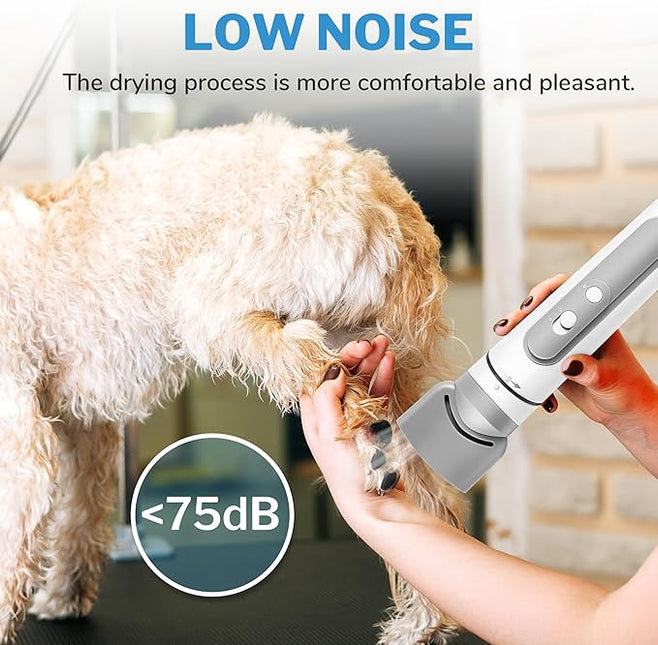 Lightweight Portable Dog Hair Dryer for Small Medium Large Dogs with 3 Nozzle