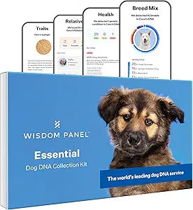 Wisdom Panel Essential Dog DNA Testing Kit - Most Accurate Test for 430+ Dog Breeds, 30 Genetic Health Conditions, 50+ Traits, Relatives, Ancestry, 1 Pack