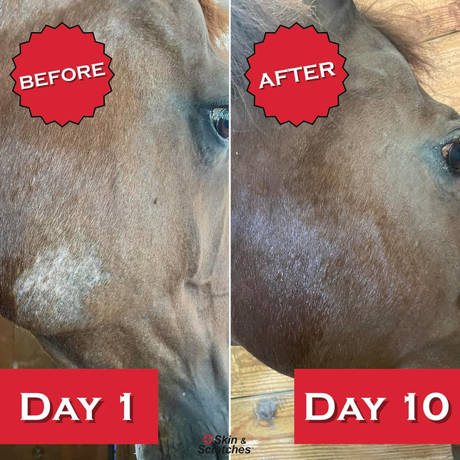Show Out Skin & Scratches 4 oz Concentrate - Fast Relief and Prevention for Horse Care