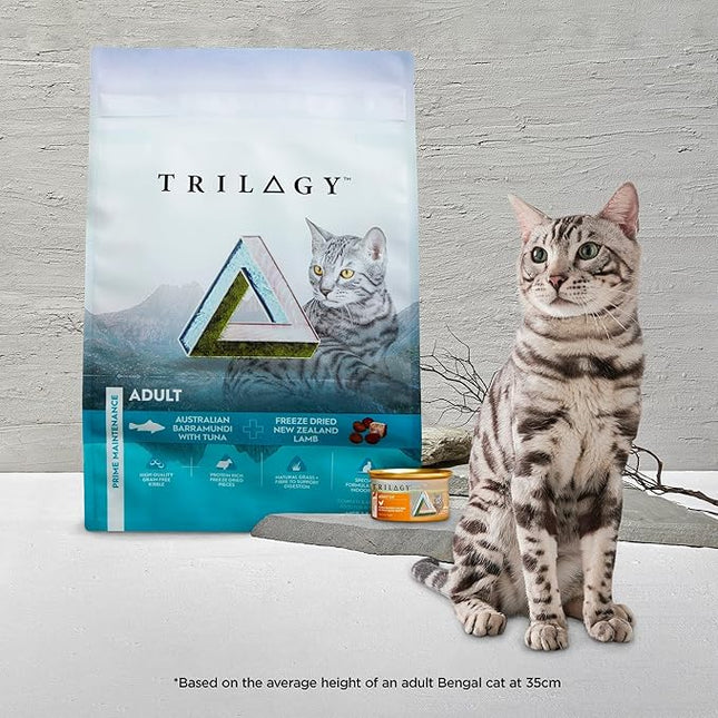 Trilogy Bone Broth Adult Wet Cat Food, Wild Caught Mackeral 24x85g