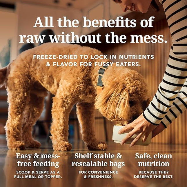 K9 Naturals Freeze Dried Dog Food Topper with Verified Ingredients, Organ Meat Blend for Digestive Support, Human-Grade Freeze Dried Puppy Food & Dog Topping, Lamb Green Tripe, 200g