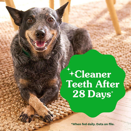 Greenies Canine Dental Dog Treats