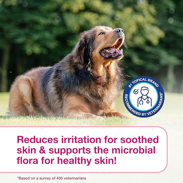 Douxo S3 Calm Shampoo 6.7 oz (200 mL) - for Dogs and Cats with Allergic, Itchy Skin