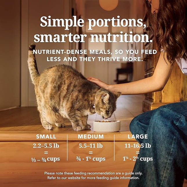 Feline Natural High Protein Dry Cat Food, Freeze-Dried Diet with 98% Meat, Organs & Seafood, No Peas, Grains, or Artificial Additives, Made in New Zealand, Lamb & King Salmon, 100g