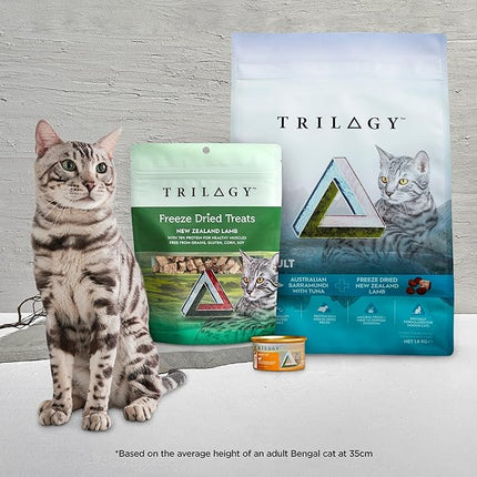 Trilogy Complete Prey Pâté Wet Cat Food, Wild Caught Salmon, 24x85g
