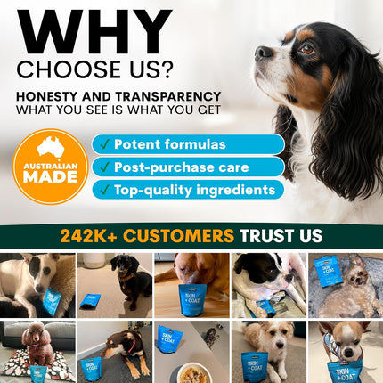 Petz Park Dog Skin and Coat Supplement 45 Scoops, Omega 3 for Dogs Made in Australia, Fish Oil for Dog Skin Support, Dog Food Topper, Dog Health Supplement Powder
