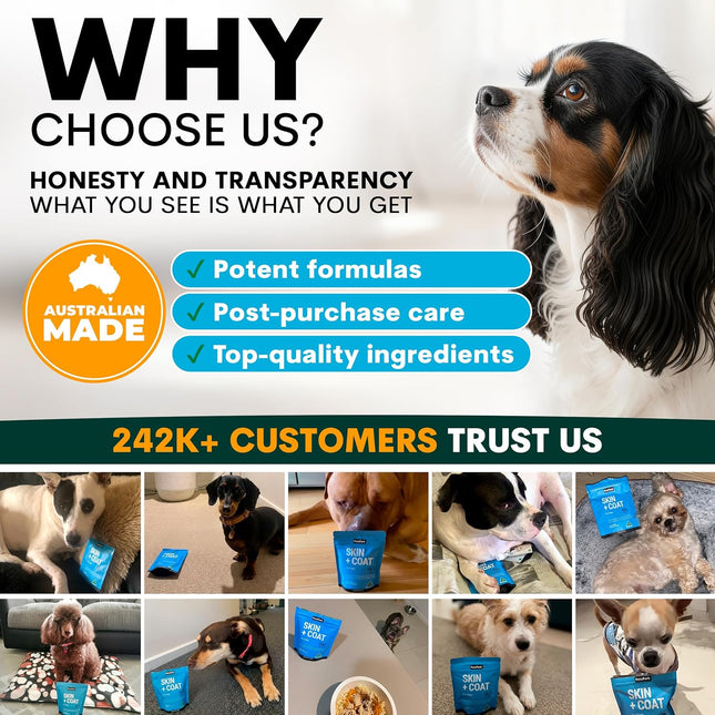 Petz Park Dog Skin and Coat Supplement 45 Scoops, Omega 3 for Dogs Made in Australia, Fish Oil for Dog Skin Support, Dog Food Topper, Dog Health Supplement Powder