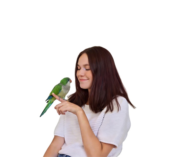 <h2>Birds</h2>