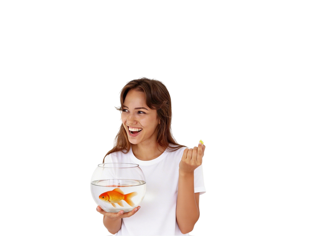 <h2>Fish</h2>