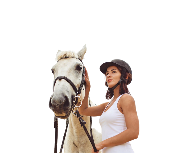 <h2>Horses</h2>