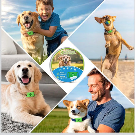 Natural Flea and Tick Prevention Dog Tag – Waterproof Collar Pendant with 4 Extra Refills, Green, Safe for All Breeds