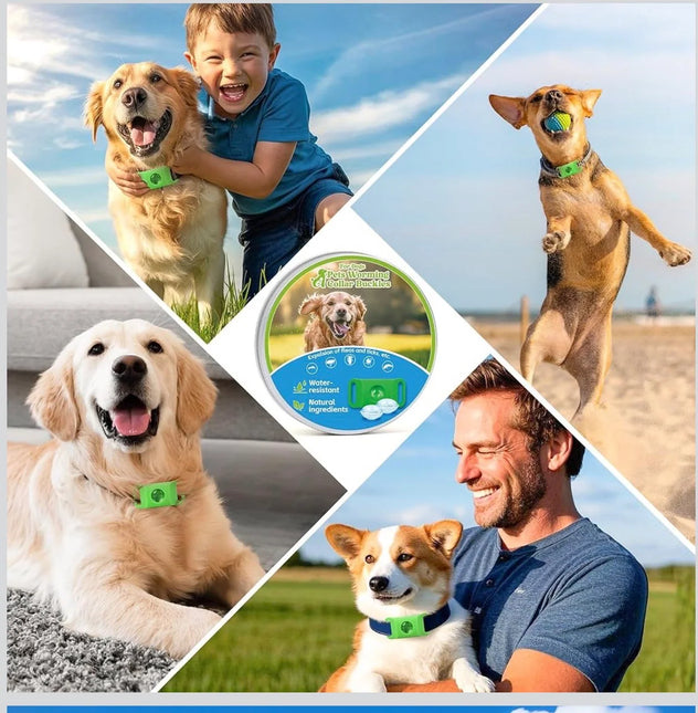 Natural Flea and Tick Prevention Dog Tag – Waterproof Collar Pendant with 4 Extra Refills, Green, Safe for All Breeds