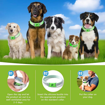 Natural Flea and Tick Prevention Dog Tag – Waterproof Collar Pendant with 4 Extra Refills, Green, Safe for All Breeds