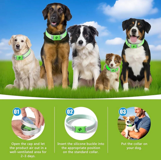 Natural Flea and Tick Prevention Dog Tag – Waterproof Collar Pendant with 4 Extra Refills, Green, Safe for All Breeds