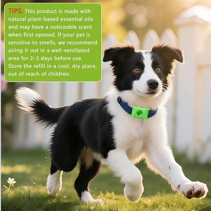 Natural Flea and Tick Prevention Dog Tag – Waterproof Collar Pendant with 4 Extra Refills, Green, Safe for All Breeds