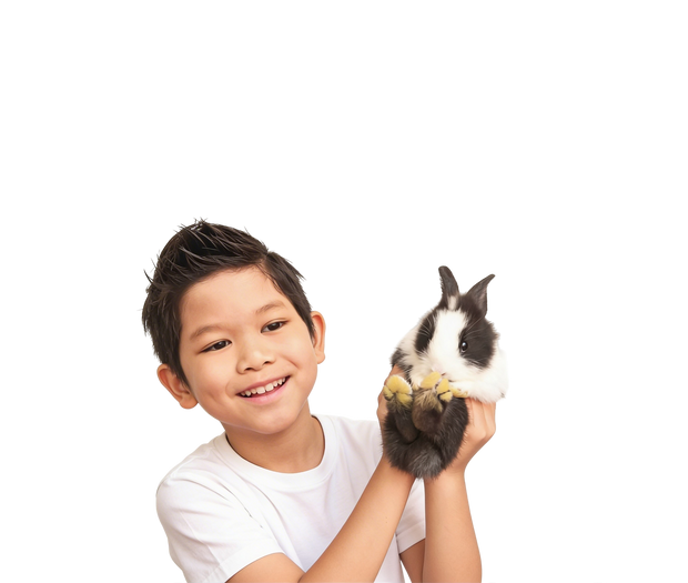 <h2>Small Animals</h2>