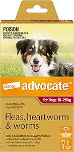 Advocate Dog, Monthly Spot-On Protection from Fleas, Heartworm and Worms, Single Pack Flea Treatment for Large Dogs 10-25 kg, 1 Pack