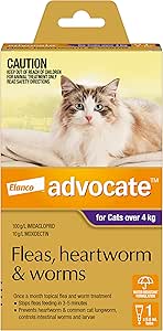 Advocate Cat, Monthly Spot-On Protection from Fleas, Heartworm and Worms, Single Pack Flea Treatment for Cats Over 4 kg, 1 Pack